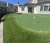 Artifical Grass